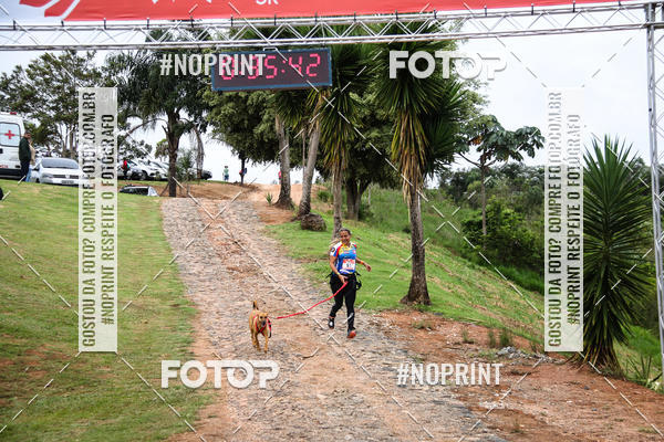 Buy your photos of the eventKaluan� Trail e Canicross - Irisphoto on Fotop