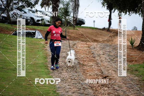 Buy your photos of the eventKaluan� Trail e Canicross - Irisphoto on Fotop