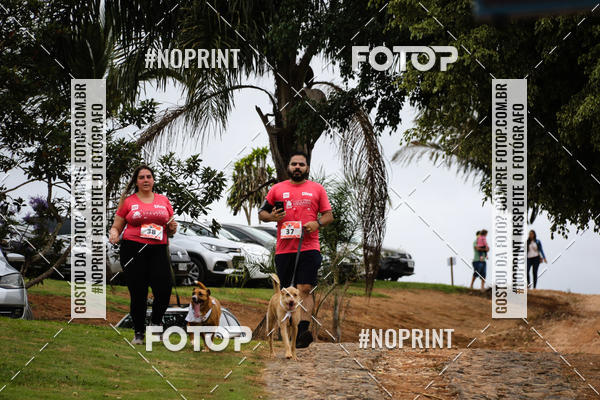 Buy your photos of the eventKaluan� Trail e Canicross - Irisphoto on Fotop