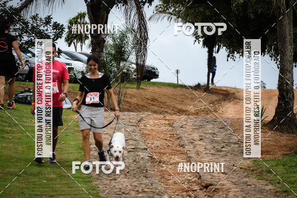 Buy your photos of the eventKaluan� Trail e Canicross - Irisphoto on Fotop