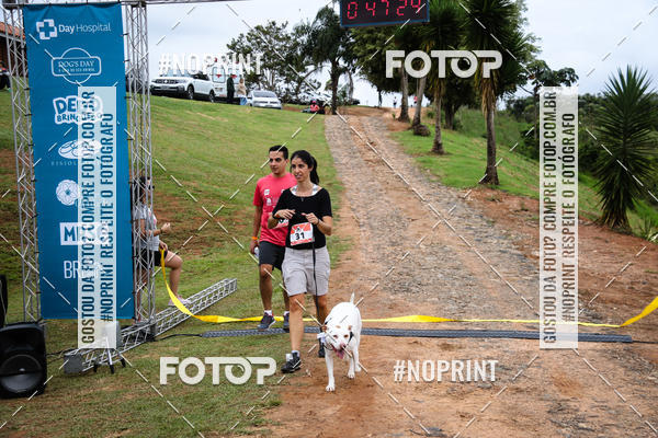 Buy your photos of the eventKaluan� Trail e Canicross - Irisphoto on Fotop