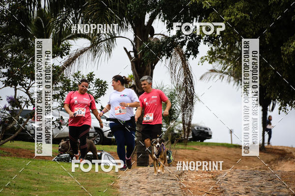 Buy your photos of the eventKaluan� Trail e Canicross - Irisphoto on Fotop