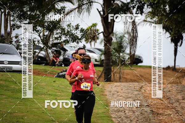 Buy your photos of the eventKaluan� Trail e Canicross - Irisphoto on Fotop