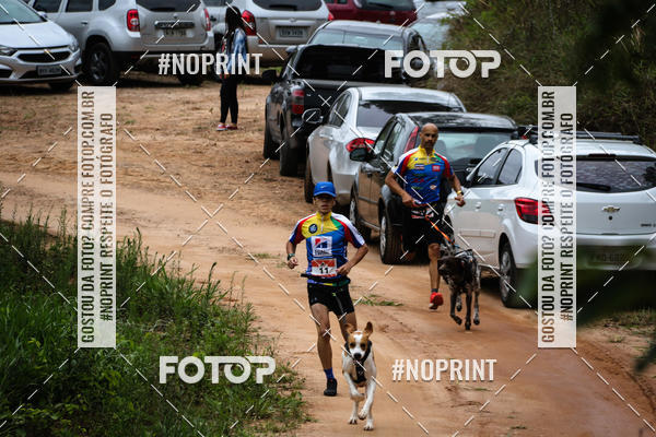 Buy your photos of the eventKaluan� Trail e Canicross - Irisphoto on Fotop