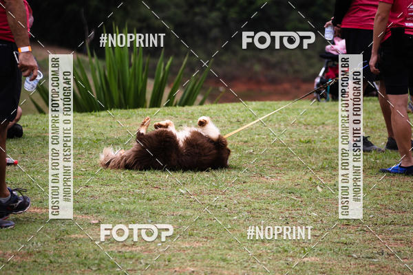 Buy your photos of the eventKaluan� Trail e Canicross - Irisphoto on Fotop