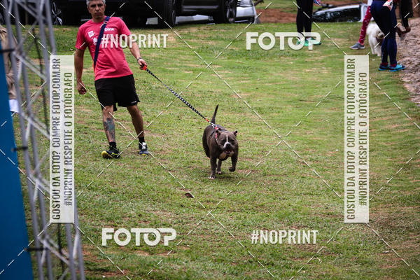 Acquista le foto dell'eventoKaluan� Trail e Canicross - Irisphoto in Fotop