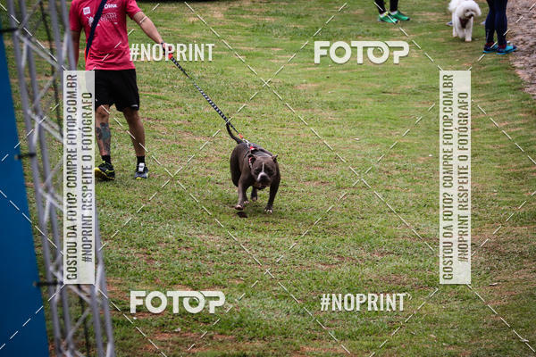 Acquista le foto dell'eventoKaluan� Trail e Canicross - Irisphoto in Fotop
