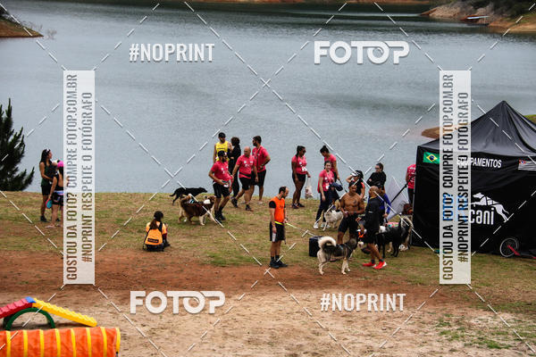 Buy your photos of the eventKaluan� Trail e Canicross - Irisphoto on Fotop