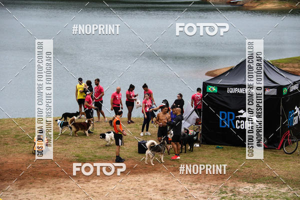 Buy your photos of the eventKaluan� Trail e Canicross - Irisphoto on Fotop