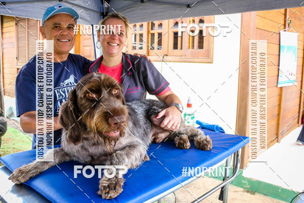 Acquista le foto dell'eventoKaluan� Trail e Canicross - Irisphoto in Fotop