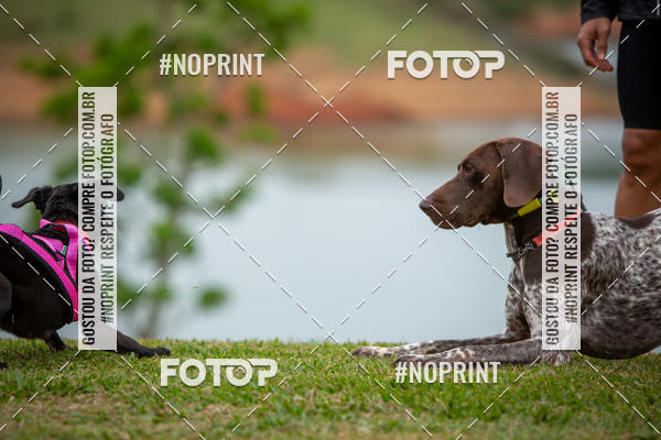 Compra tus fotos del eventoKaluan Trail e Canicross En Fotop