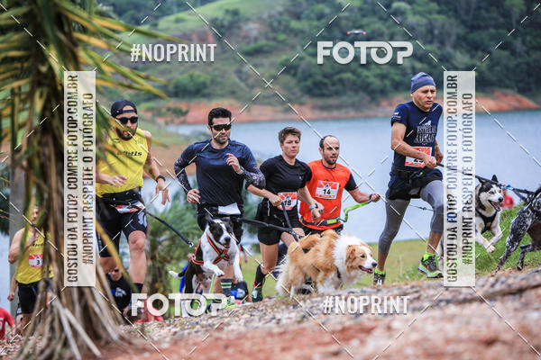 Buy your photos of the eventKaluan� Trail e Canicross - Irisphoto on Fotop