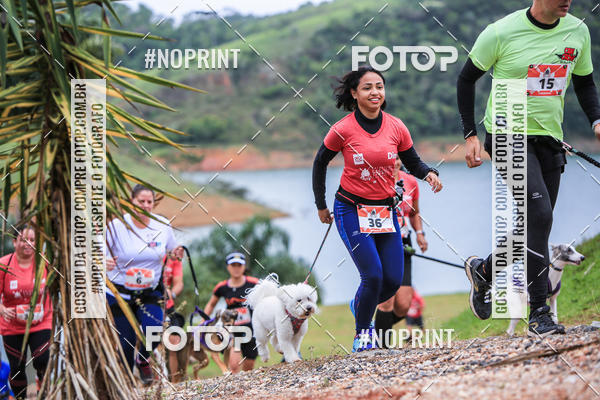 Buy your photos of the eventKaluan� Trail e Canicross - Irisphoto on Fotop