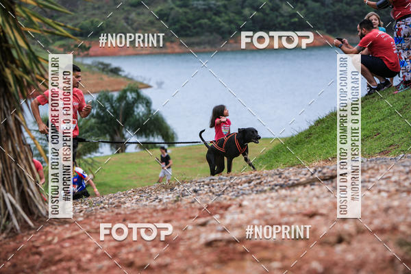 Buy your photos of the eventKaluan� Trail e Canicross - Irisphoto on Fotop