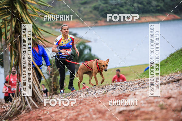 Buy your photos of the eventKaluan� Trail e Canicross - Irisphoto on Fotop