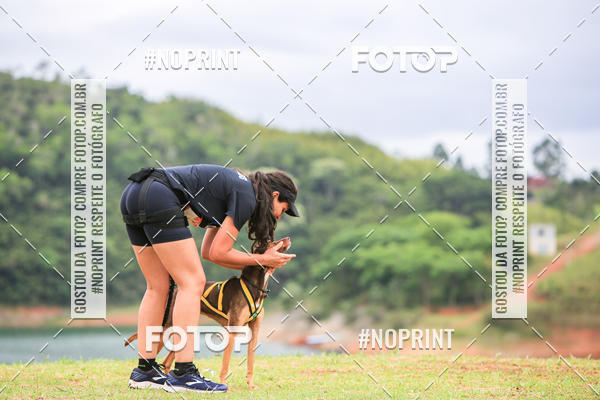 Achetez vos photos de l'�v�nementKaluan� Trail e Canicross - Irisphoto sur Fotop