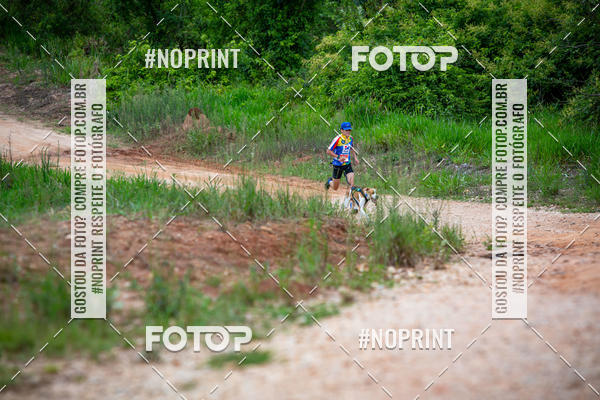 Buy your photos of the eventKaluan� Trail e Canicross - Irisphoto on Fotop