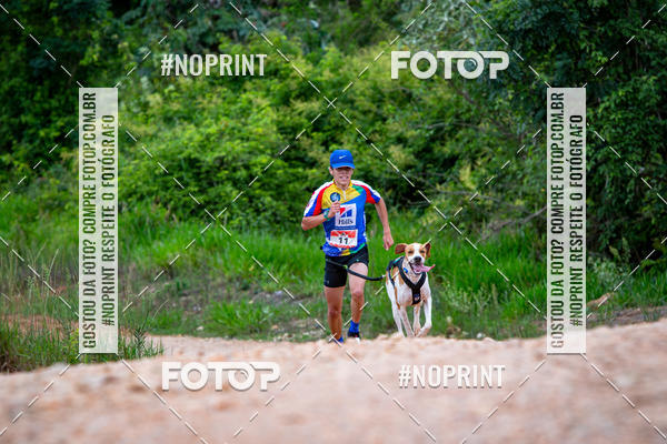 Buy your photos of the eventKaluan� Trail e Canicross - Irisphoto on Fotop