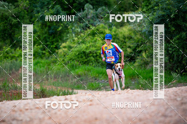 Buy your photos of the eventKaluan� Trail e Canicross - Irisphoto on Fotop