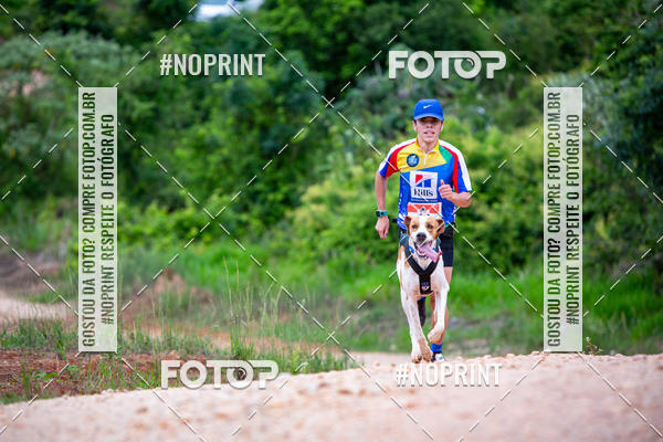 Buy your photos of the eventKaluan� Trail e Canicross - Irisphoto on Fotop