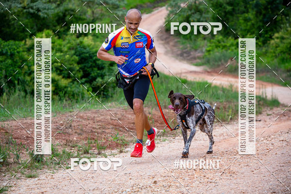 Buy your photos of the eventKaluan� Trail e Canicross - Irisphoto on Fotop