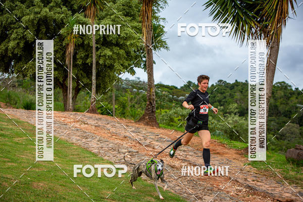 Achetez vos photos de l'�v�nementKaluan� Trail e Canicross - Irisphoto sur Fotop