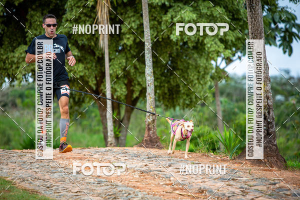 Achetez vos photos de l'�v�nementKaluan� Trail e Canicross - Irisphoto sur Fotop