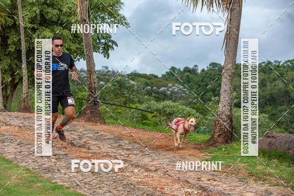 Achetez vos photos de l'�v�nementKaluan� Trail e Canicross - Irisphoto sur Fotop