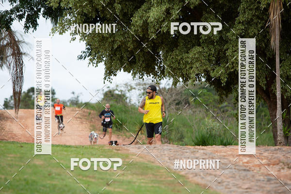 Achetez vos photos de l'�v�nementKaluan� Trail e Canicross - Irisphoto sur Fotop