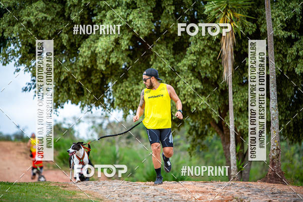 Achetez vos photos de l'�v�nementKaluan� Trail e Canicross - Irisphoto sur Fotop