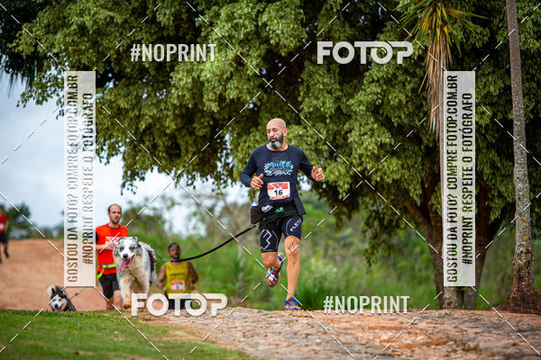 Achetez vos photos de l'�v�nementKaluan� Trail e Canicross - Irisphoto sur Fotop