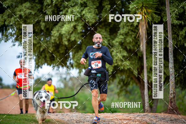 Achetez vos photos de l'�v�nementKaluan� Trail e Canicross - Irisphoto sur Fotop