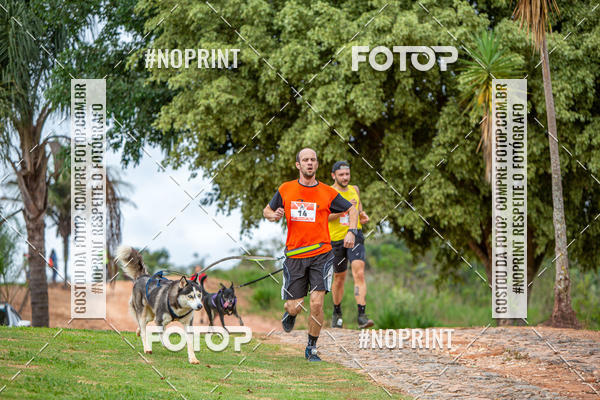 Achetez vos photos de l'�v�nementKaluan� Trail e Canicross - Irisphoto sur Fotop