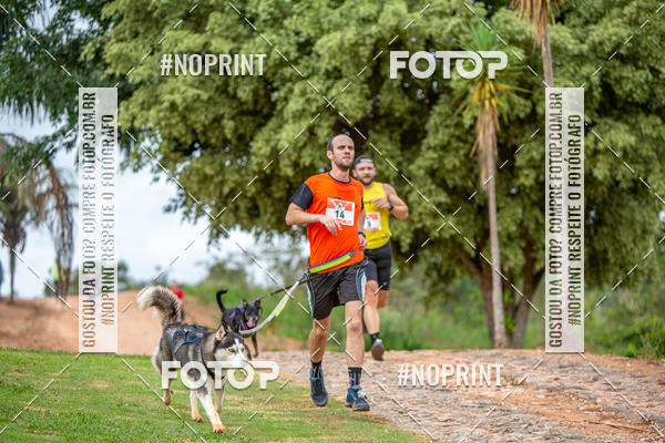 Achetez vos photos de l'�v�nementKaluan� Trail e Canicross - Irisphoto sur Fotop