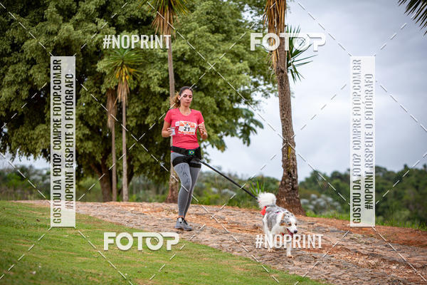 Compre suas fotos do eventoKaluan� Trail e Canicross - Irisphoto no Fotop