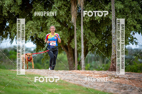 Compre suas fotos do eventoKaluan� Trail e Canicross - Irisphoto no Fotop