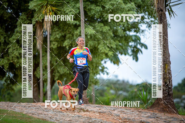 Buy your photos of the eventKaluan� Trail e Canicross - Irisphoto on Fotop