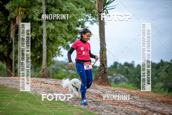 Buy your photos of the eventKaluan� Trail e Canicross - Irisphoto on Fotop