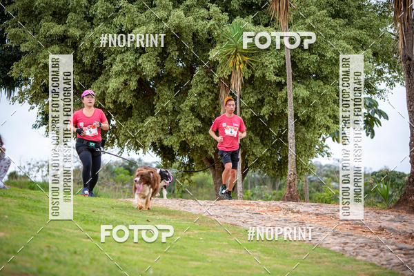 Buy your photos of the eventKaluan� Trail e Canicross - Irisphoto on Fotop