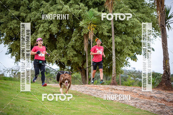 Buy your photos of the eventKaluan� Trail e Canicross - Irisphoto on Fotop