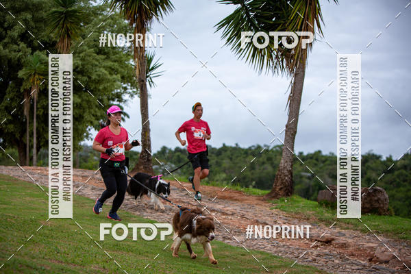 Buy your photos of the eventKaluan� Trail e Canicross - Irisphoto on Fotop