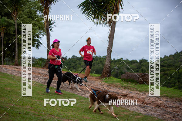 Buy your photos of the eventKaluan� Trail e Canicross - Irisphoto on Fotop