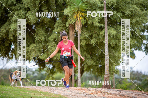 Buy your photos of the eventKaluan� Trail e Canicross - Irisphoto on Fotop