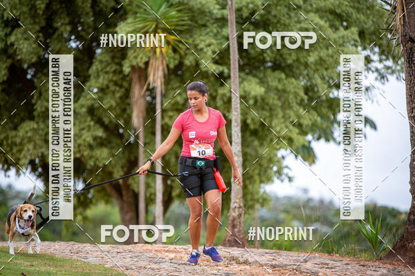 Buy your photos of the eventKaluan� Trail e Canicross - Irisphoto on Fotop