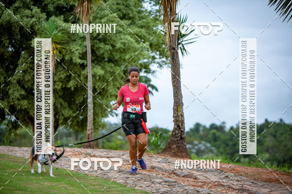 Buy your photos of the eventKaluan� Trail e Canicross - Irisphoto on Fotop