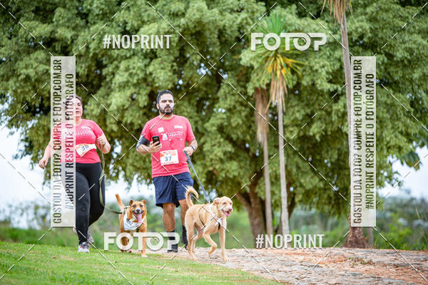 Buy your photos of the eventKaluan� Trail e Canicross - Irisphoto on Fotop