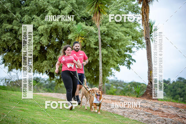 Buy your photos of the eventKaluan� Trail e Canicross - Irisphoto on Fotop