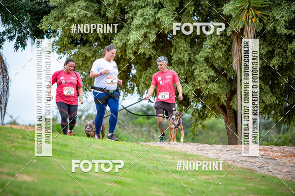 Buy your photos of the eventKaluan� Trail e Canicross - Irisphoto on Fotop