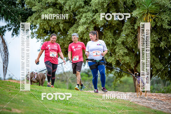 Buy your photos of the eventKaluan� Trail e Canicross - Irisphoto on Fotop