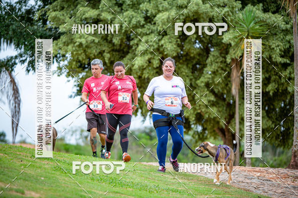 Buy your photos of the eventKaluan� Trail e Canicross - Irisphoto on Fotop